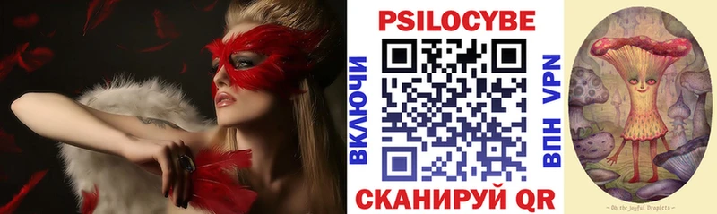 Галлюциногенные грибы Psilocybe  Олонец 